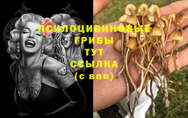 твердый Зеленокумск