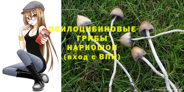 твердый Зеленокумск