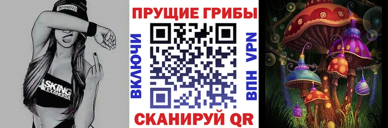 купить наркотик  кракен   Псилоцибиновые грибы GOLDEN TEACHER  Карачев 
